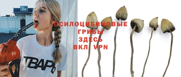 mdpv Арсеньев