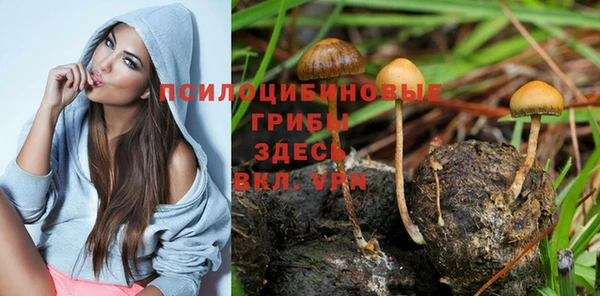 mdpv Арсеньев