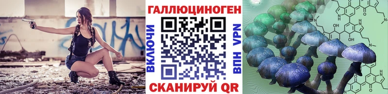 Галлюциногенные грибы Psilocybine cubensis  Купить  Мглин 